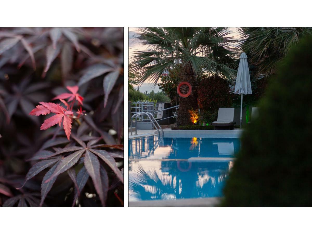 Anthodi Hotel Stavros  Exterior foto